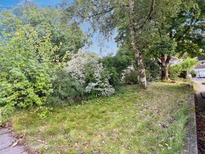 Garden- click for photo gallery